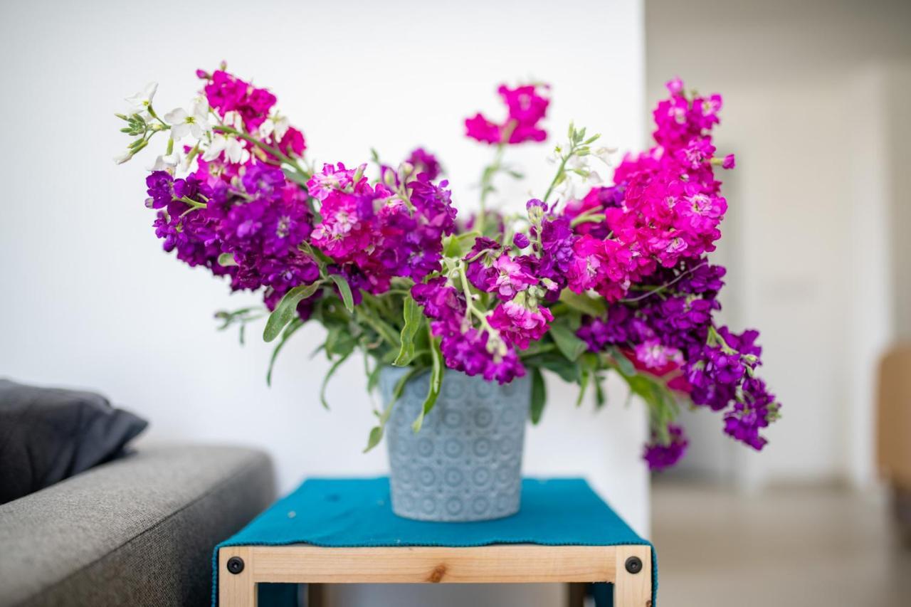 Sliema, Villa Savoia Luxury Apartment For 5 Guests Gzira ภายนอก รูปภาพ